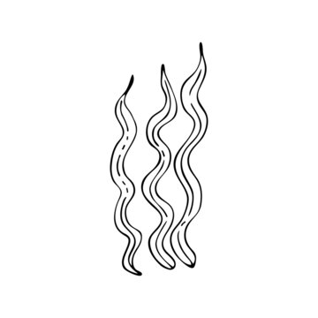 recommend clip art: Doodle style seaweed. Marine coral reef. Seabed plant. Aquarium decor. Algae of the ocean. Hand drawn thin line art vector illustration. Isolated simple element.