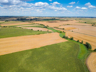 Naklejka premium Aerial view on fields in Summer around village Dziekanowice in Poland