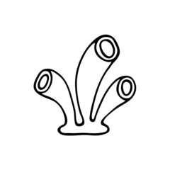 Doodle style sea coral reef. Invertebrates are an animal of the seabed. Coral polyp skeleton. Aquarium decor. Algae of the ocean. Hand drawn thin line art vector illustration. Isolated simple element.