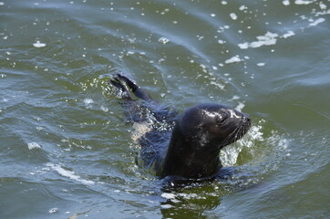 Obraz premium islands in the pacific ocean