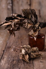 Dry peony leaves on old wooden background