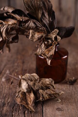 Dry peony leaves on old wooden background
