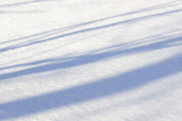 Fototapeta na wymiar Winter background. Snow and tree silhouette shadows .