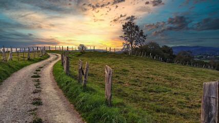 Obraz premium Rural landscape near Nava village, Asturias, Spain