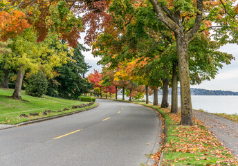 Colorful Autumn Lakeside Trees 6