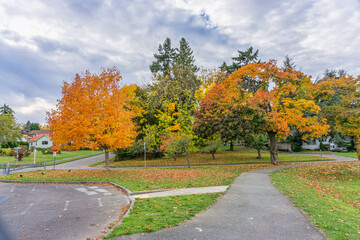 Obraz premium Colorful Autumn Lakeside Trees 3