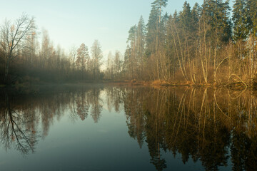 Obraz premium Forest lake in the fog.