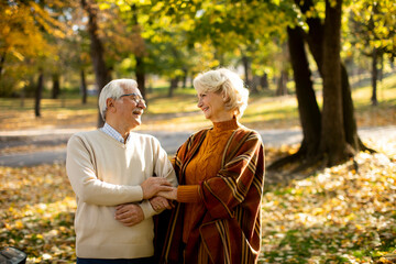 Senior couple embracing in autumn park