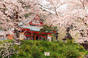 Kotokuji Temple, Shizuoka, Japan in Spring