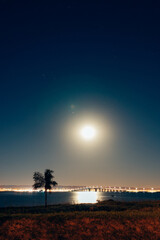 C&eacute;u de Palmas Noturno