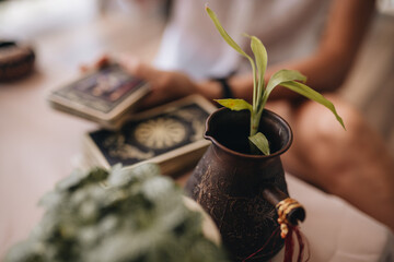 Middle-aged professional tarologist having session