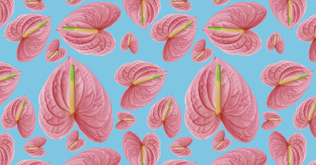 Pattern of a pink flower of different sizes on a blue background.