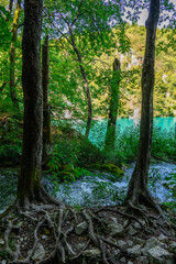 Plitvice Lakes National Park in Croatia