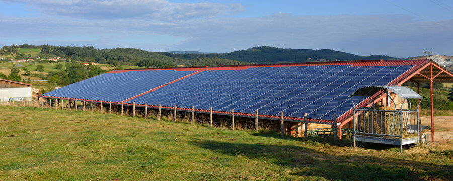 Panoramique toit en panneaux solaires dans nos campagnes à l'énergie écologique, département de la Loire en région Auvergne-Rhône-Alpes, France