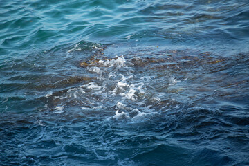 Obraz premium waves on the sea