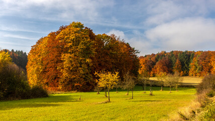 Landschaft im Herbst vor blauem Himmel