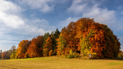 Fototapeta premium Landschaft im Herbst vor blauem Himmel