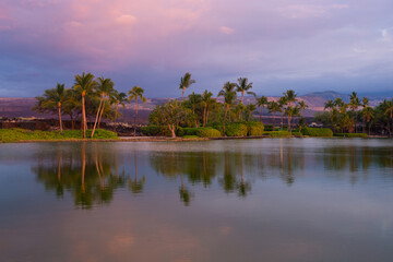 Fototapeta premium Palm Beach Hawaii