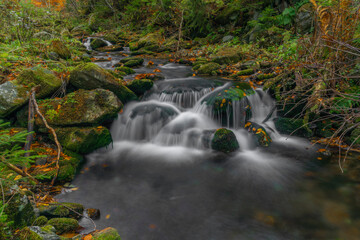 Obraz premium Sumny and Bily creek in autumn morning in Jeseniky mountains