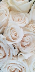 white roses bouquet