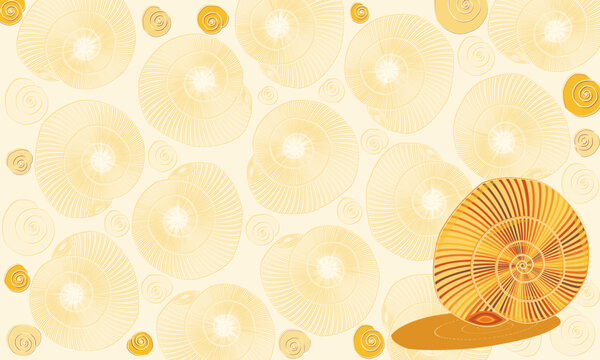 Fosiles de caracolas petrificadas