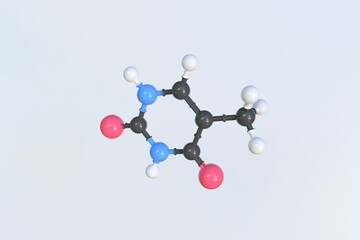 Thymine molecule, scientific molecular model, looping 3d animation