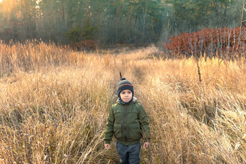 A little boy walks through the tall dry grass next to the forest