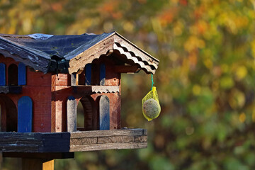 colourful bird feeder with tit balls in front of autumn leaves background