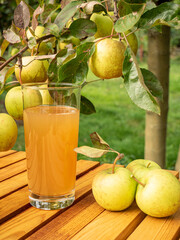 	
glass of juice and apples in the orchard