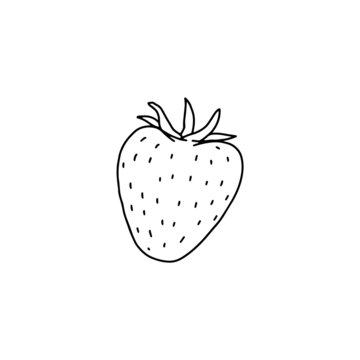 Black line image of strawberry vector illustration isolated on background.