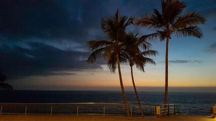 Palmen an der Promenade von Tazacorte auf der Insel La Palma