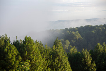 fog in the mountains