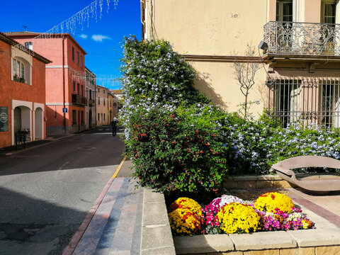 Flowers along a small street with colorful houses in Leucate, France
