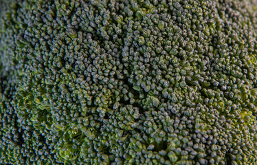 Fresh green broccoli Healthy Food, Ingredients for cooking, france