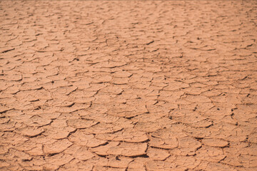 textura de tierra seca