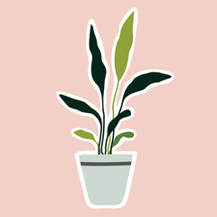 Flat house plant in the pots. Flower. Trendy home decor with plants. Vector illustration. Sticker.