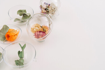 DIY ornaments filled with dried flowers on white background