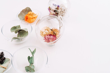 DIY ornaments filled with dried flowers on white background