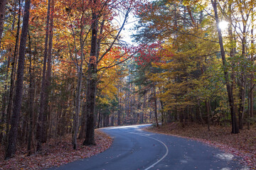 Autumn Scene on a Winding Counrtry Road