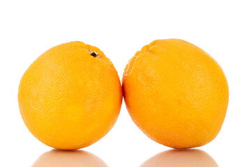 Two organic bright yellow oranges , close-up, isolated on white.