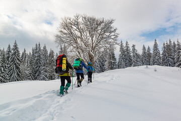 Fototapeta na wymiar Hikers on the winter trail