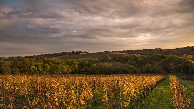Forward and reverse fast timelapse of the sun with cloudsBordeaux vineyard in autumn under sunset, High quality 4k footage