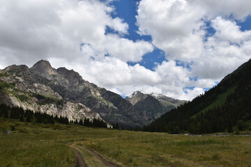 Fototapeta premium landscape with mountains