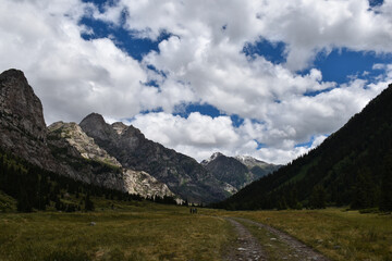 Fototapeta premium landscape with mountains