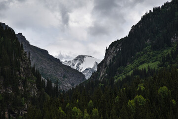 landscape with mountains