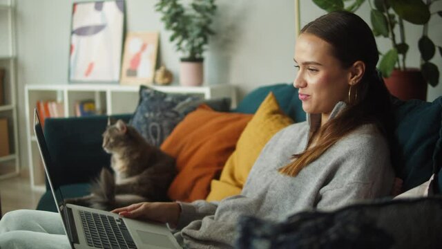 Woman using video call on laptop while cat lying on sofa. Female student speaking on virtual conference near grey kitten on couch. Furry pedigreed pet relaxing. Happy domestic animals at home.