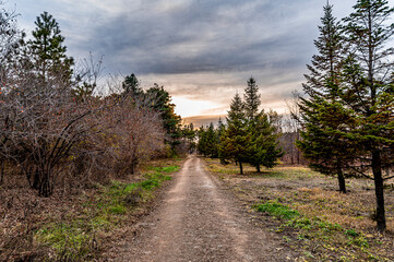 Autumn scenery of Baimu Garden in Changchun, China
