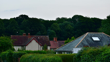 Fototapeta na wymiar Rural houses against a green wood background in the evening, England, UK