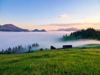 Fototapeta na wymiar Landscape with high mountains. Fields and meados are covered with morning fog and dew. Sunrise. Forest of the pine trees. The early morning mist. Touristic place. Natural scenery.