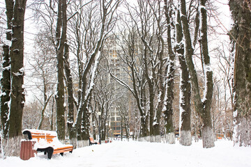 A deserted road goes into a distance in a snowy winter park at freezing cold day. A walking path in a city park with bare branched trees. A wooden bench covered with snow. A place for walks outdoors.